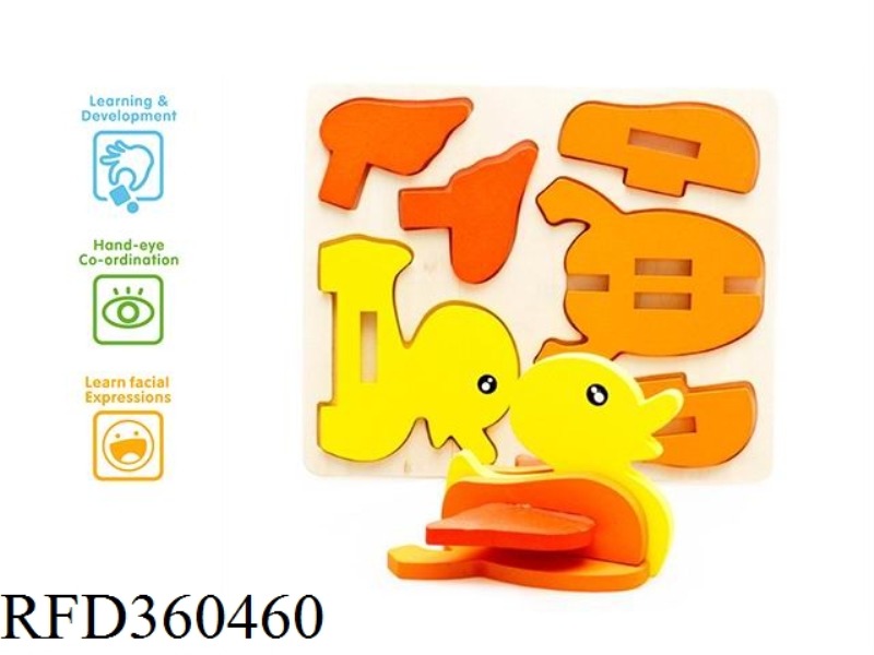 DUCKS PLAY IN THREE DIMENSIONS
