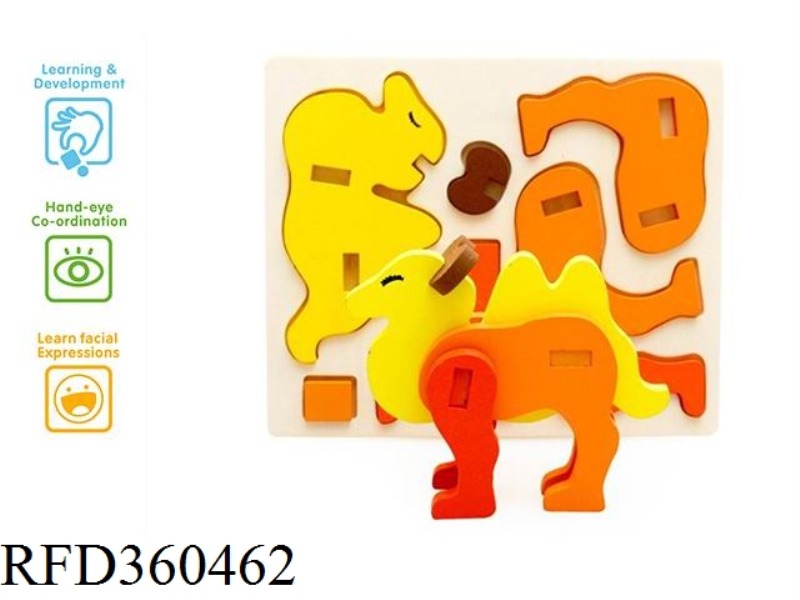 CAMELS PLAY IN THREE DIMENSIONS
