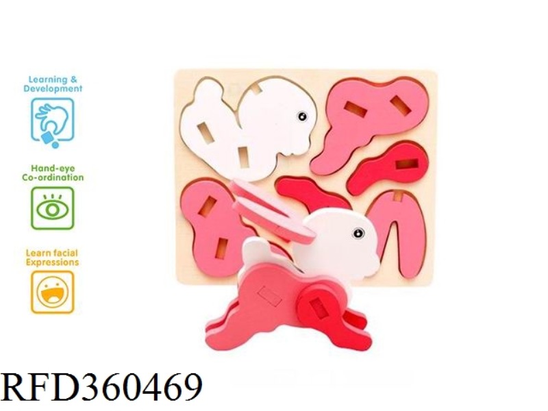 THE RABBIT IS PLAYING IN THREE DIMENSIONS