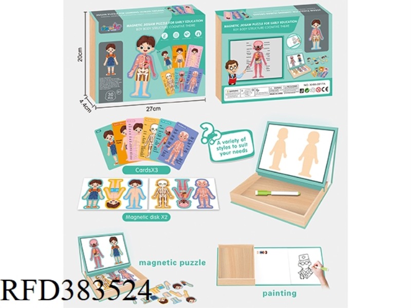 PUZZLE MAGNETIC PUZZLE (BOY'S HUMAN BODY STRUCTURE)