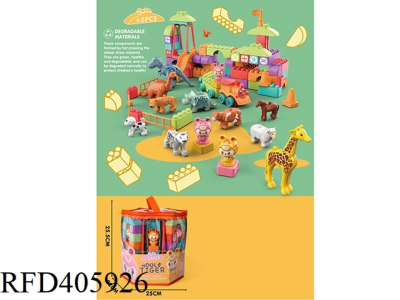 BUILDING BLOCKS (65 PCS)