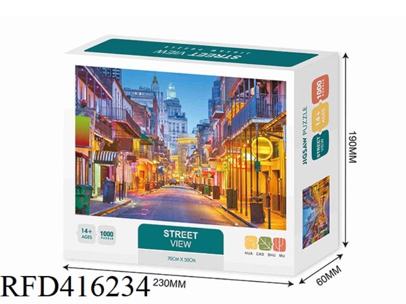 STREET SCENERY 1000PCS