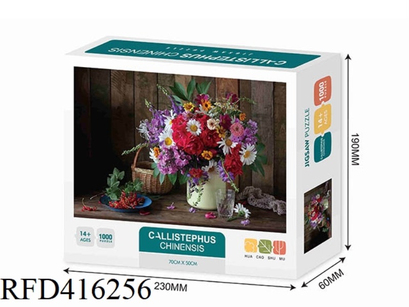 ASTER 1000PCS