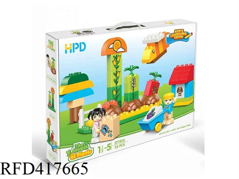 THE GROWTH OF PLANTS55PCS
