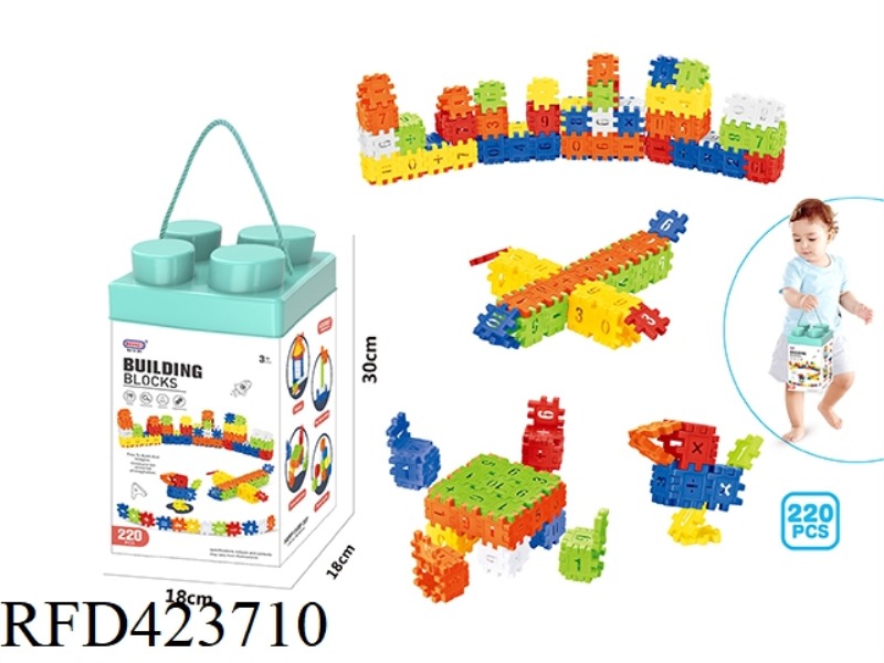 PUZZLE BOY DIGITAL BUILDING BLOCKS (220PCS)