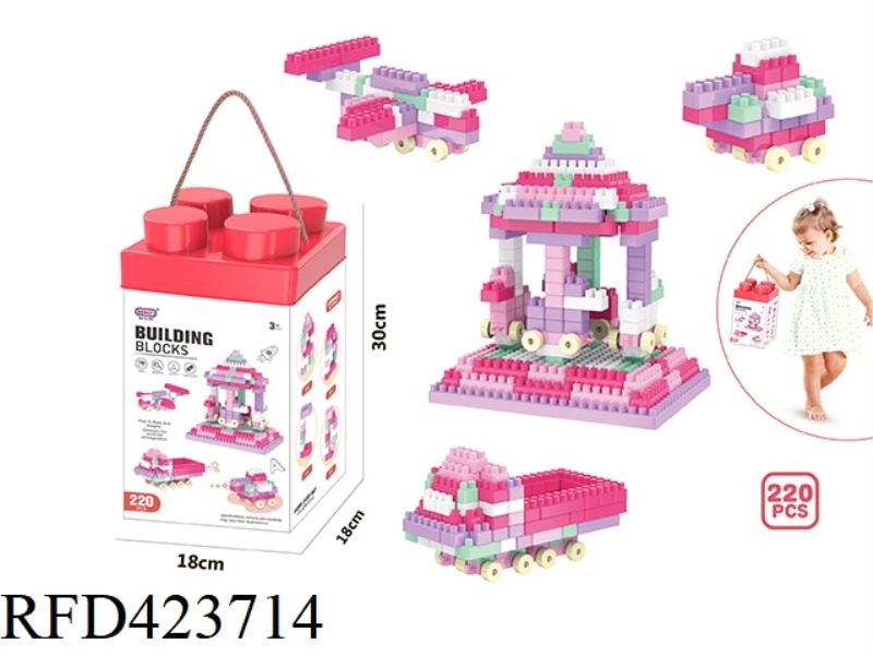 PUZZLE GIRL BUILDING BLOCKS (220PCS)