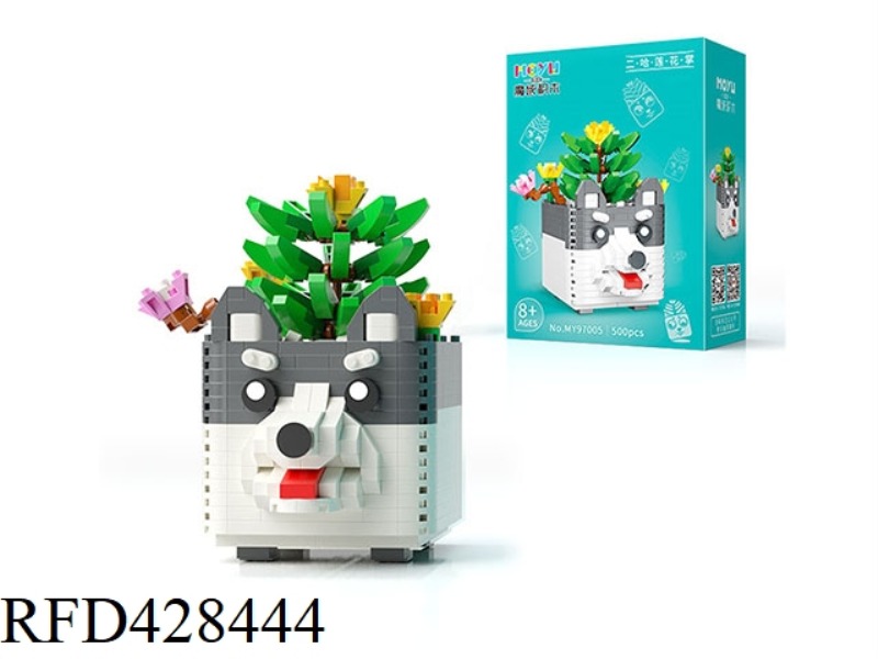 ERHA LOTUS PALM SUCCULENT POTTED PLANT (484PCS)