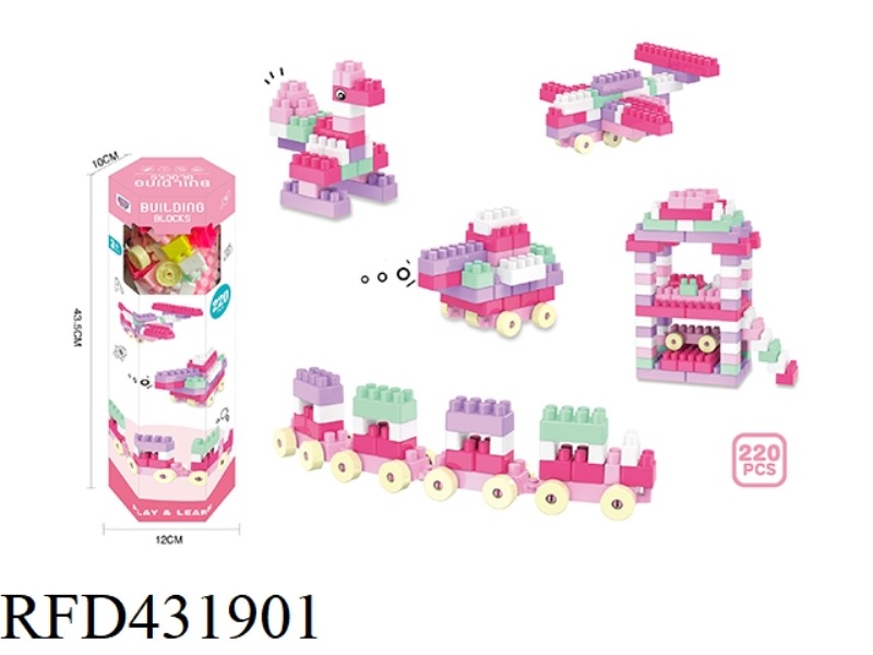 PUZZLE DIY GIRL BUILDING BLOCKS (220PCS)