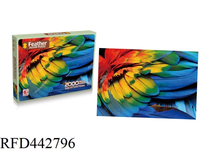 2000 PIECES OF PUZZLE