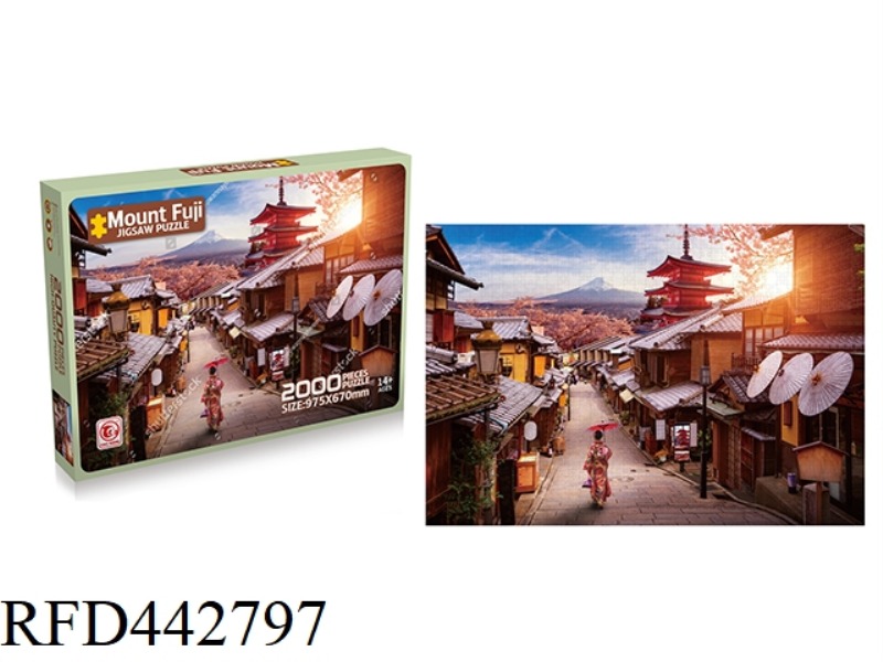 2000 PIECES OF PUZZLE