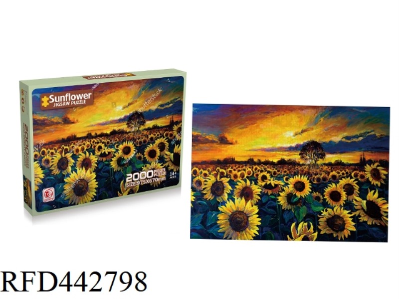 2000 PIECES OF PUZZLE