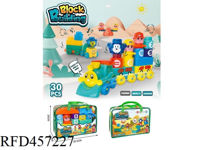 30PCS PUZZLE BLOCK TOYS