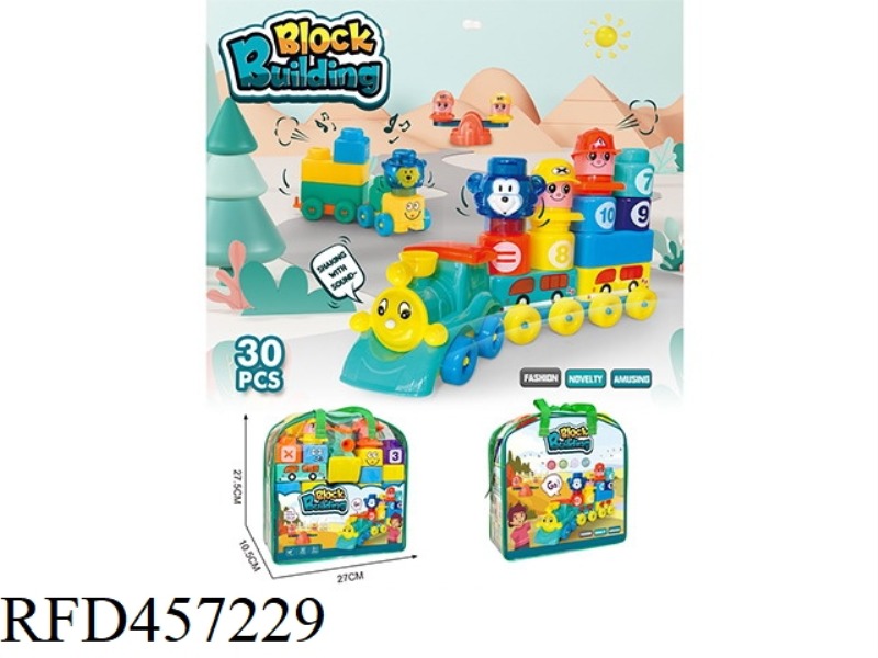 30PCS PUZZLE BLOCK TOYS