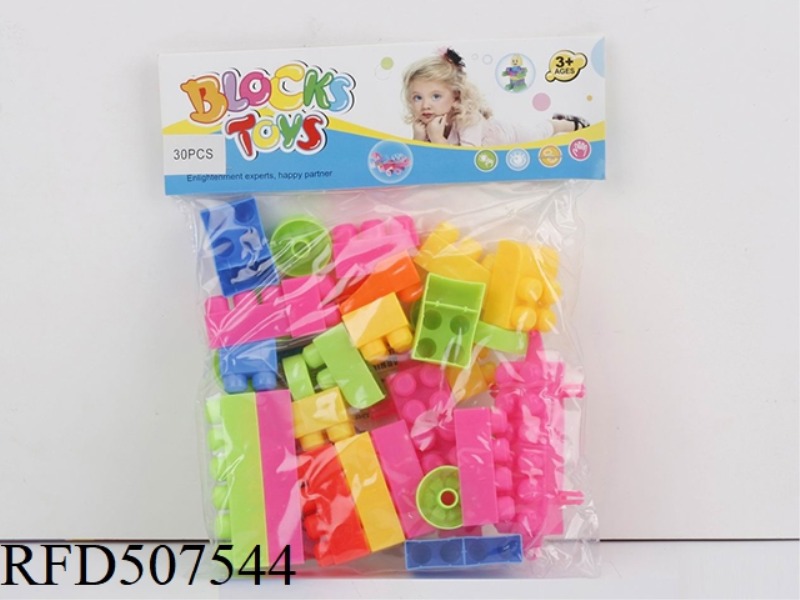 PUZZLE BLOCKS (30PCS)
