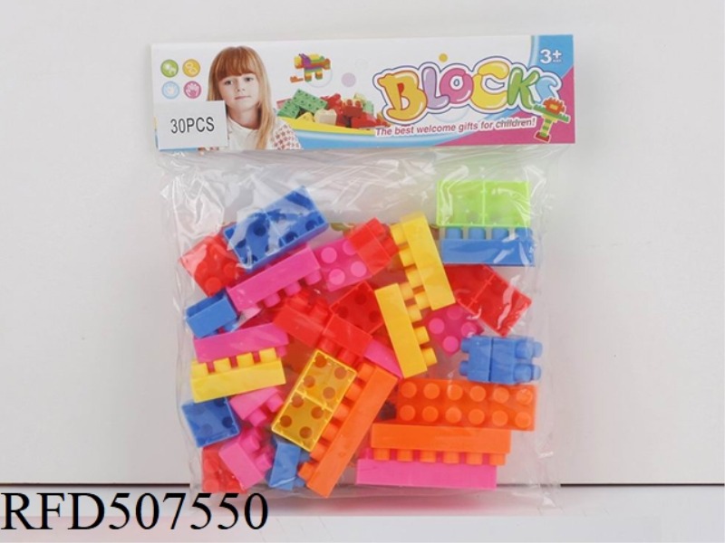 PUZZLE BLOCKS (30PCS)