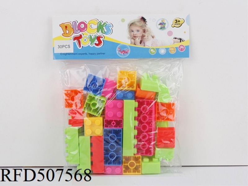 PUZZLE BLOCKS (30PCS)