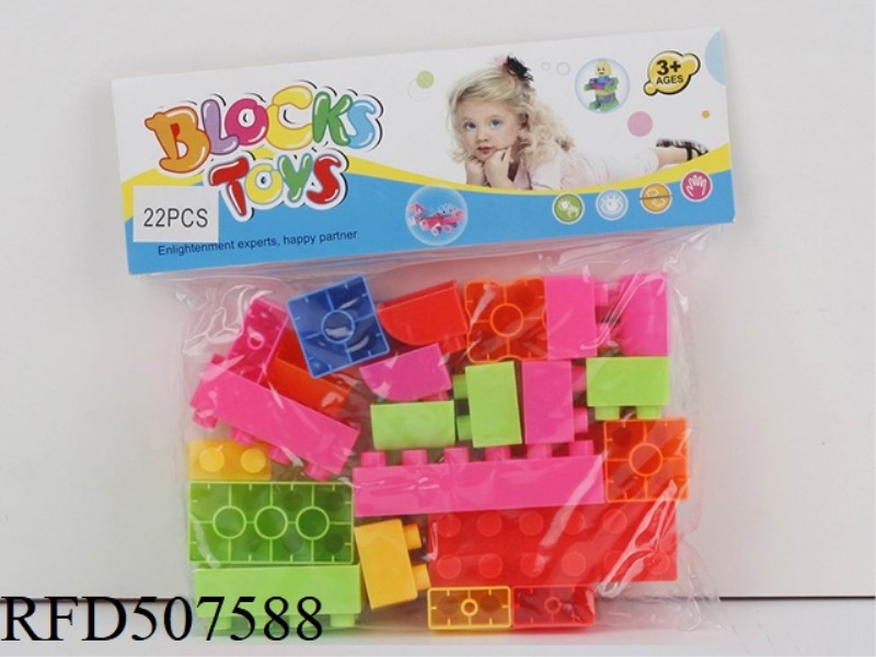 PUZZLE BLOCKS (22PCS)