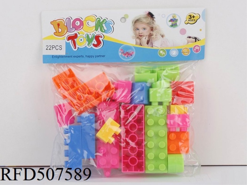 PUZZLE BLOCKS (22PCS)