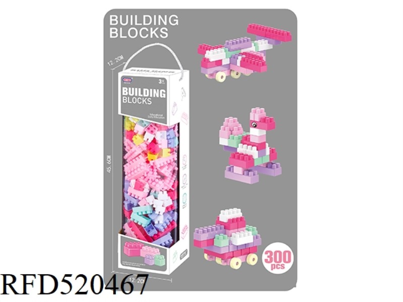 PUZZLE GIRL BUILDING BLOCKS (300PCS)