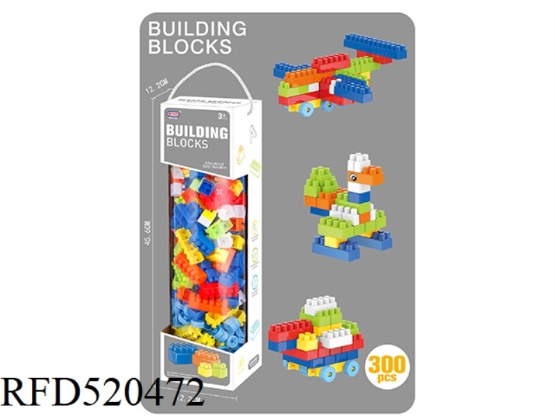 PUZZLE BOY BUILDING BLOCKS (300PCS)