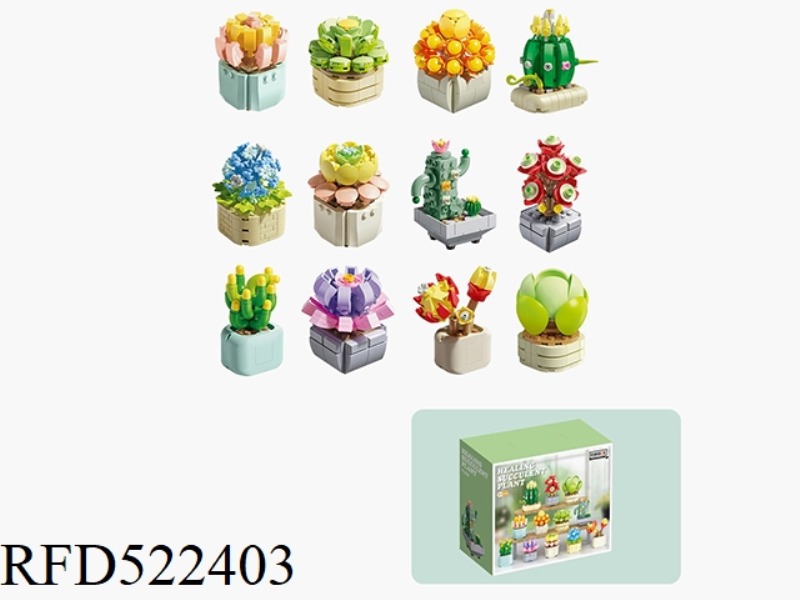 Cure succulent