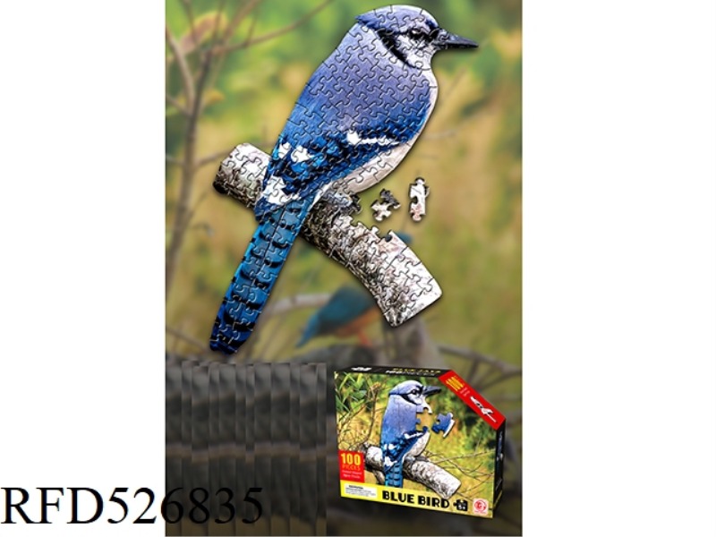100 PIECE PUZZLE
