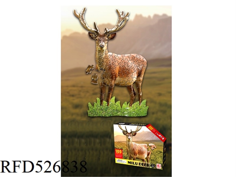100 PIECE PUZZLE