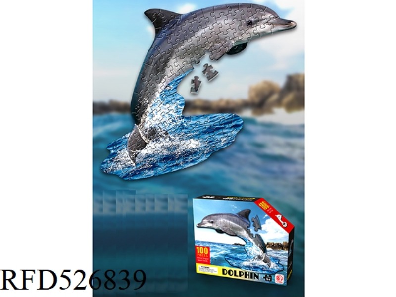 100 PIECE PUZZLE