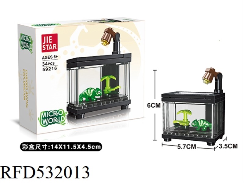 LIZARD VIEWING BOX 34PCS
