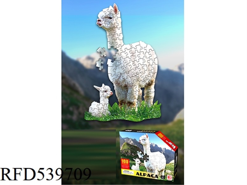 100 PIECE PUZZLE
