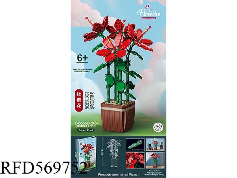 AZALEAS 926PCS