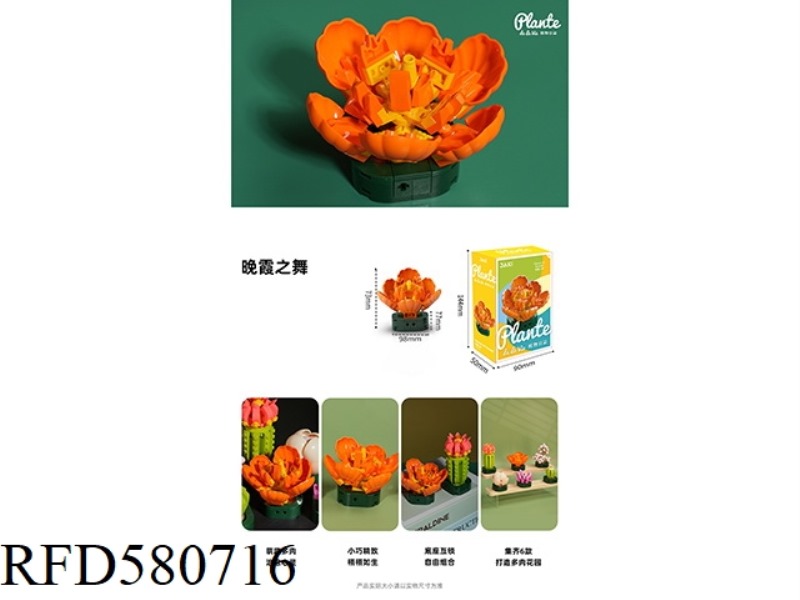 84PCS SUNSET DANCE