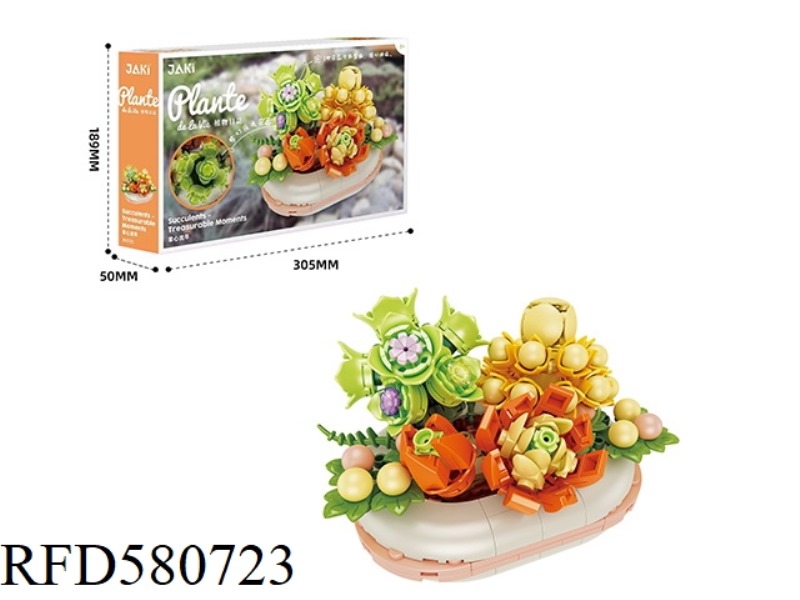 331PCS PALM AGE
SUCCULENT PLANT.