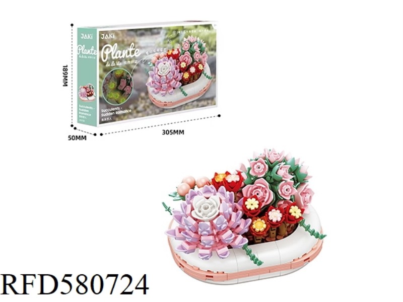 327PCS FOAM LOVERS
SUCCULENT PLANT.