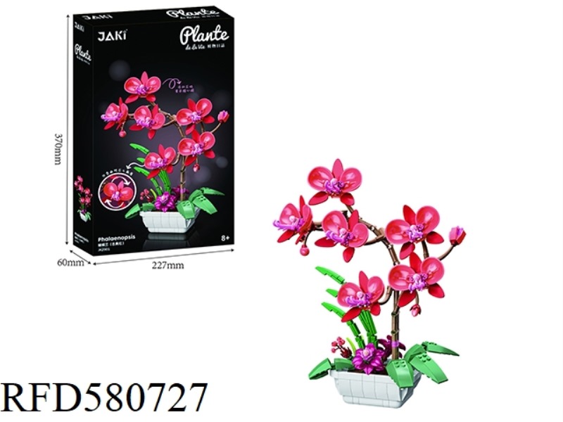 581PCS PHALAENOPSIS (CLASSICAL RED)
