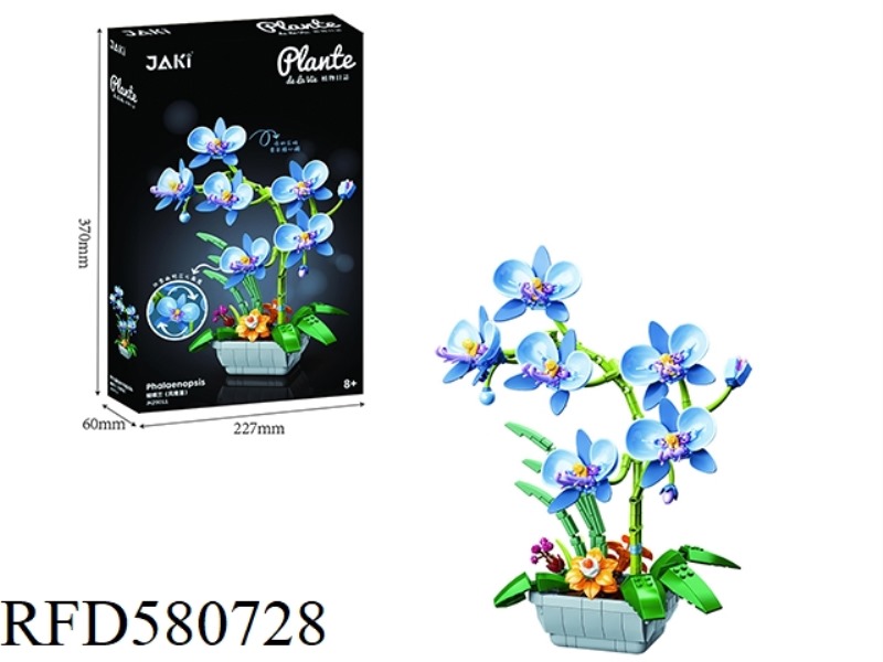 581PCS PHALAENOPSIS (ELEGANT BLUE)