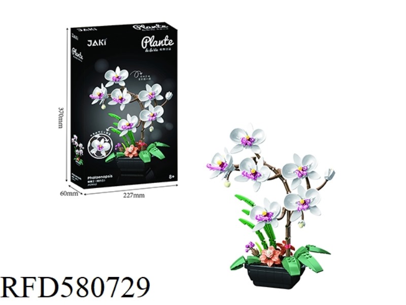 581PCS PHALAENOPSIS (GRACEFUL WHITE)