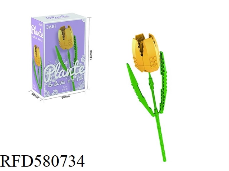 62PCS TULIPS