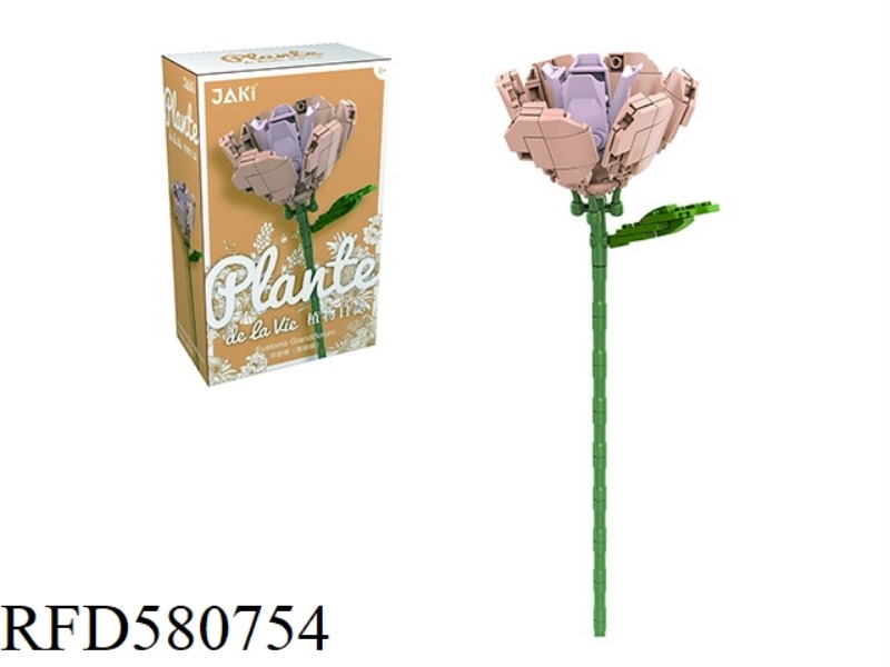 136PCS LISICODON GRANDIFLORUM (CHAMPAGNE ORANGE)