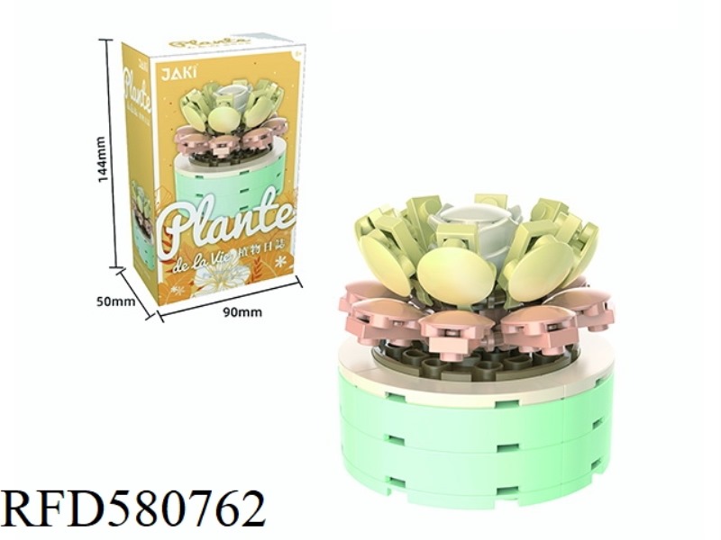 78PCS AS YOUNG AS AGE