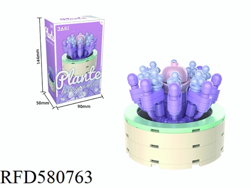 91PCS WISHING GIRLS