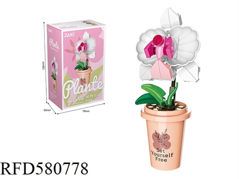 41PCS MILK TEA CUP PHALAENOPSIS