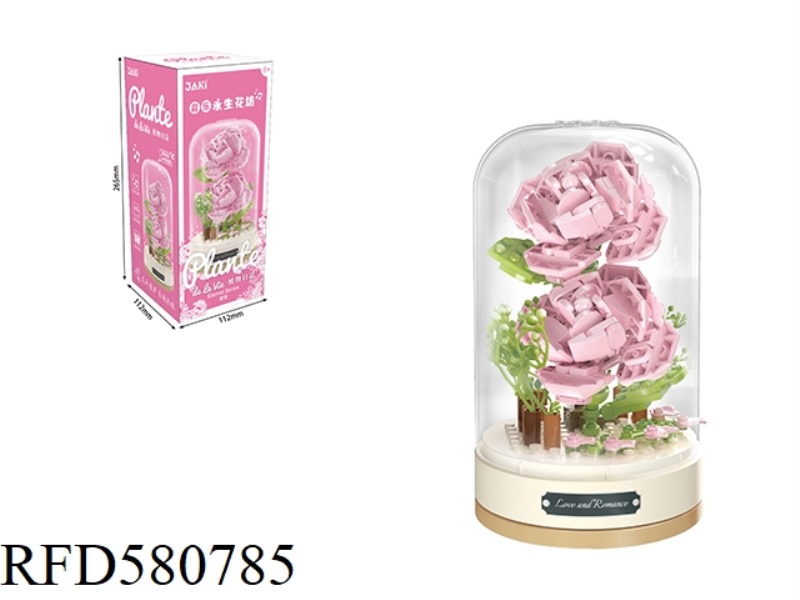 147PCS HAZY
(MUSIC BOX + DISPLAY COVER)