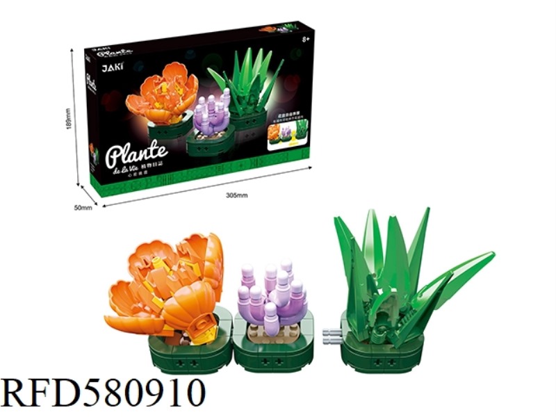 223PCS THE HEART IS LIKE THE SUNSET
SUCCULENT PLANT.