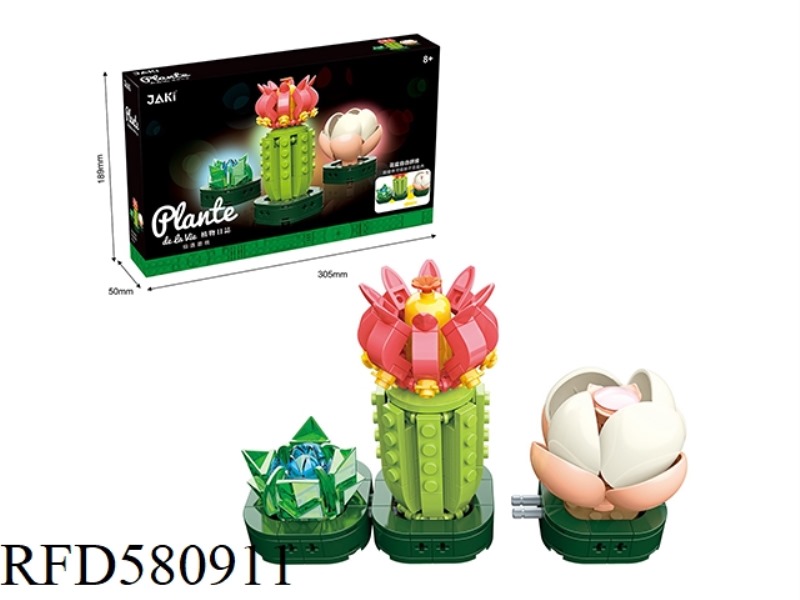 239PCS FAIRY MEETS PEACH
SUCCULENT PLANT.
