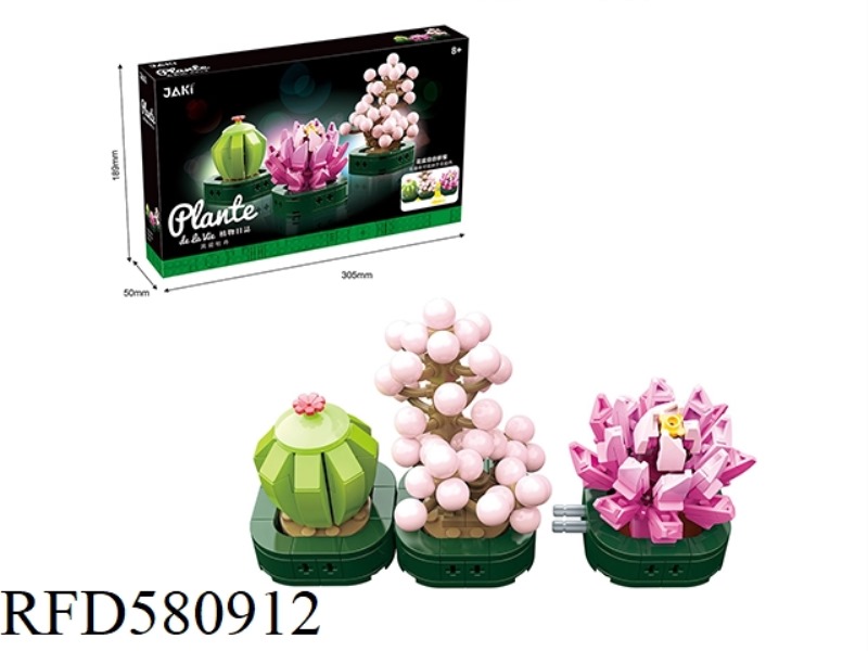 287PCS FENGYING PEONY
SUCCULENT PLANT.