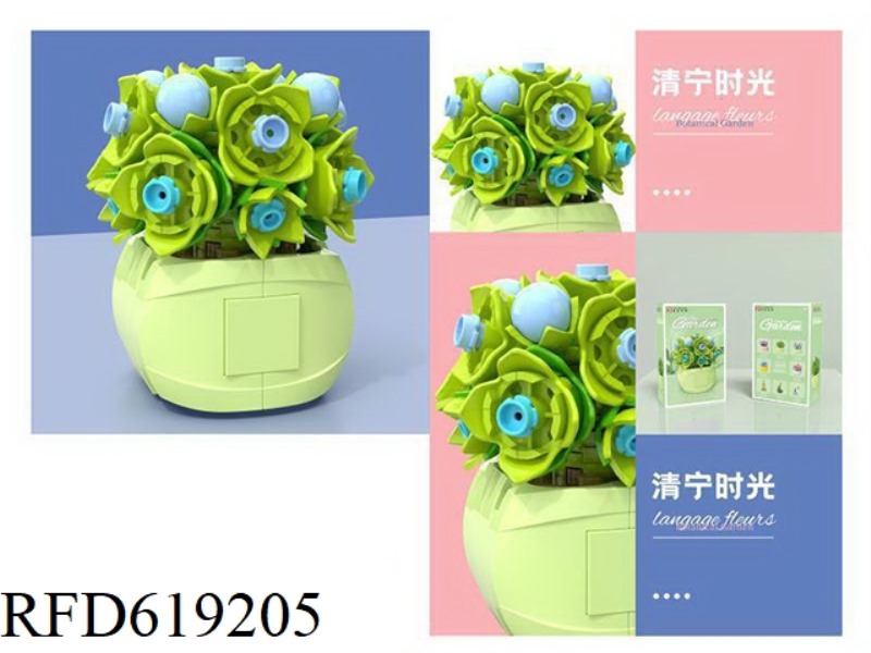 QINGNING TIME PLANTS FLOWER SHOP