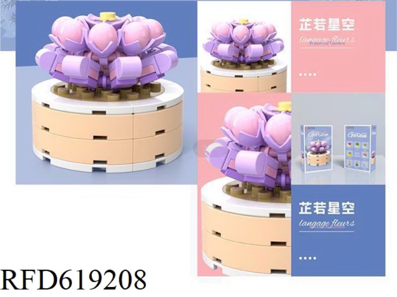 ZHI RUO XING KONG PLANTS FLOWER SHOP