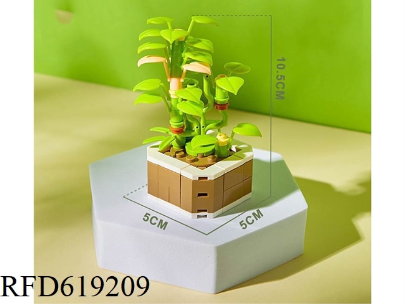 XIA RI WU YU PLANTS FLOWER SHOP