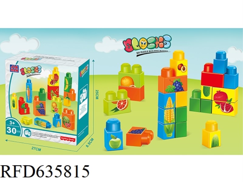 CARTOON FRUIT AMUSEMENT PARK 30PCS